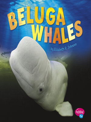 cover image of Beluga Whales